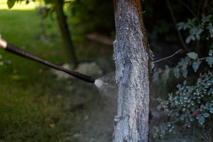 Bělení kmenů detail-malířský postřikovač